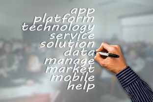 体育mk-瑞典队未来：如何建立更具竞争力的国际品牌，瑞典队分析